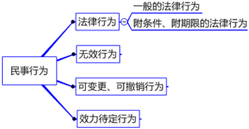 【民事行为vs民事法律行为】