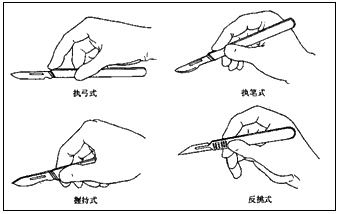(2)依据切开部位,切口长短,手术刀片的大小,选择合适的执刀方法
