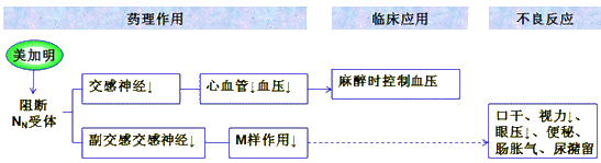 【n1受体阻断药的药理作用,临床应用,不良反应】美卡拉明,樟磺咪芬