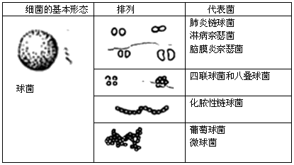 (3)环境中不利于细菌生长的物质,如药物,抗体,过高的盐分等.