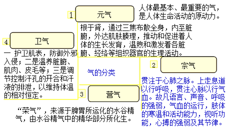 气的分类2004 b.脏腑进行正常生理活动,有赖于气的2004 b.